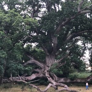 Meet your Posher, Ursula